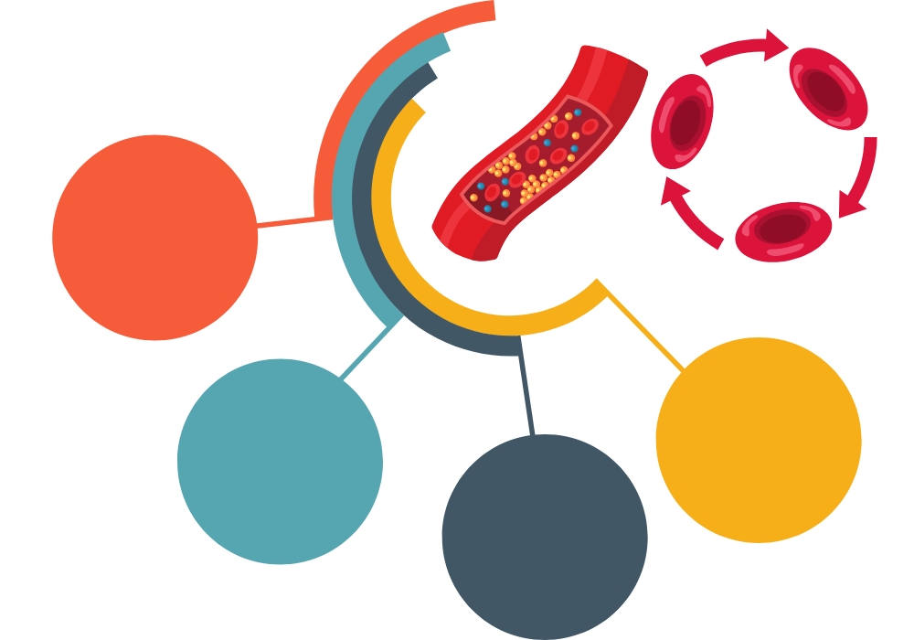 Illustration of blood vessels and nerves showing improved flow and reduced sensitivity
