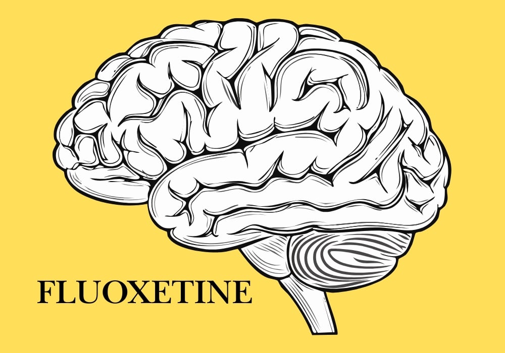 Illustration showing how fluoxetine regulates serotonin in the brain