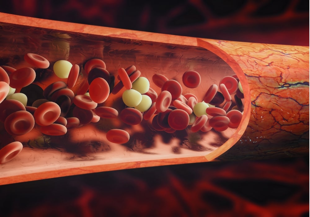 How tadalafil improves blood flow in the body How tadalafil improves blood flow in the body