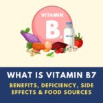 Vitamin B7 Biotin guide explaining benefits deficiency side effects and food sources