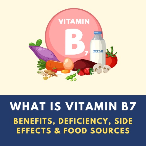 Vitamin B7 Biotin guide explaining benefits deficiency side effects and food sources