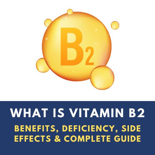Vitamin B2 Riboflavin benefits deficiency and food sources