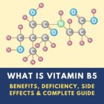Vitamin B5 Pantothenic Acid benefits food sources and deficiency
