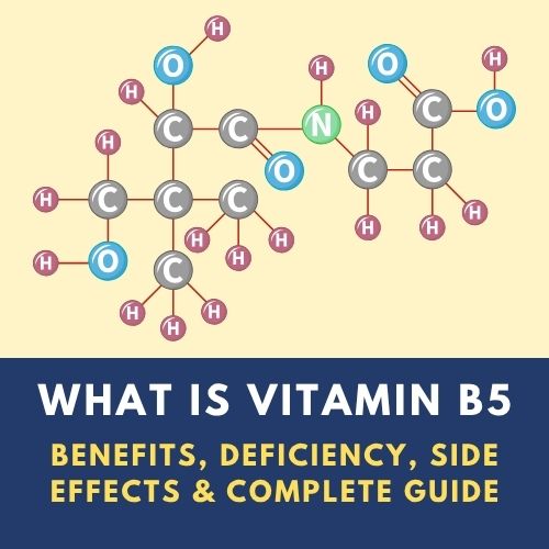 Vitamin B5 Pantothenic Acid benefits food sources and deficiency